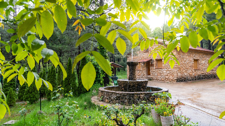 Extérieur hôtels Casas Rurales El Ojico 02459 Riópar