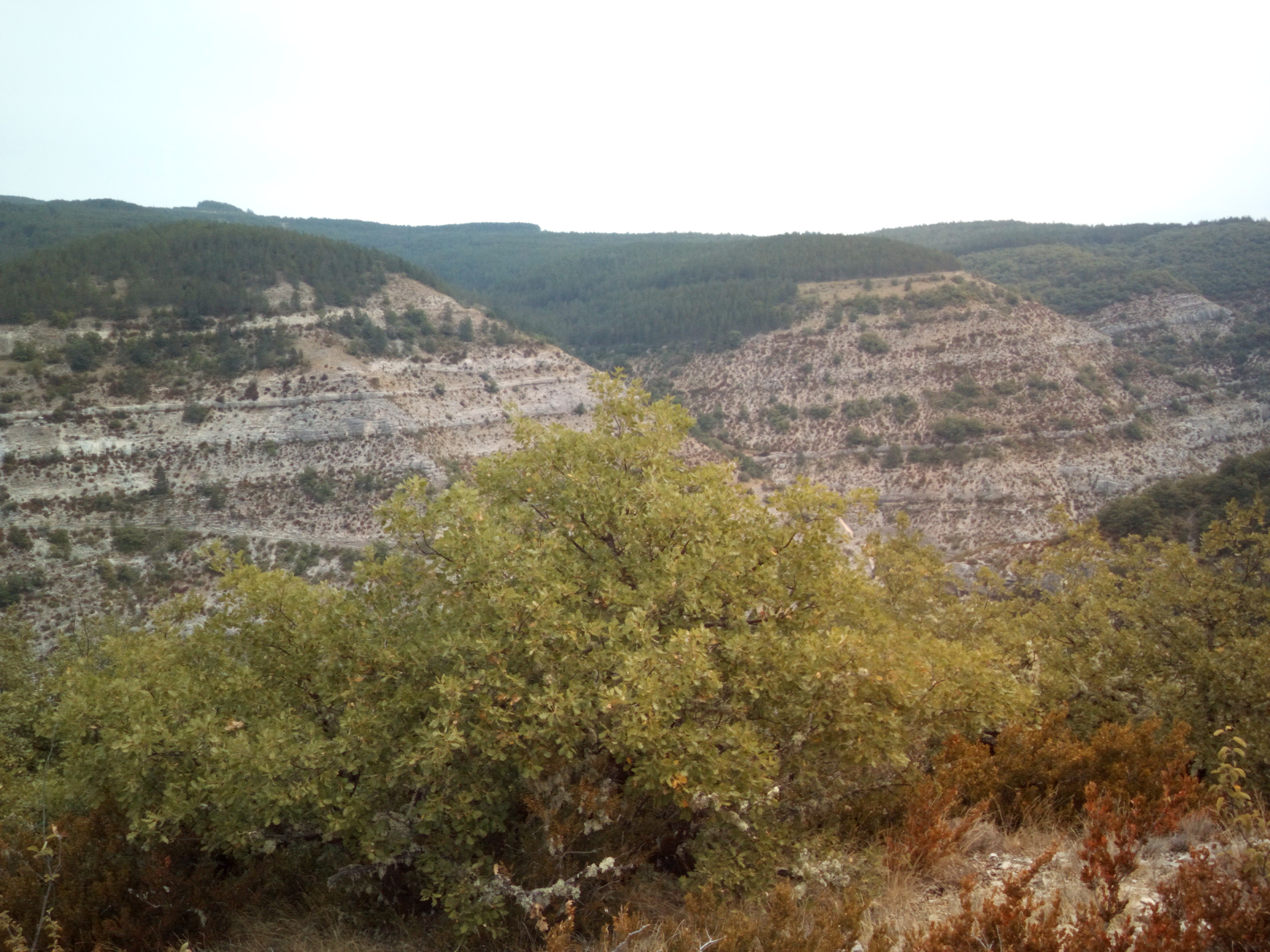 Photo n° 4 de l'avis de duode.o fait le 27/08/2019 à 19:21