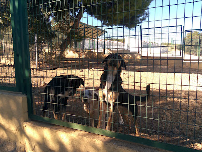 Emperrados | Protectora en Albacete