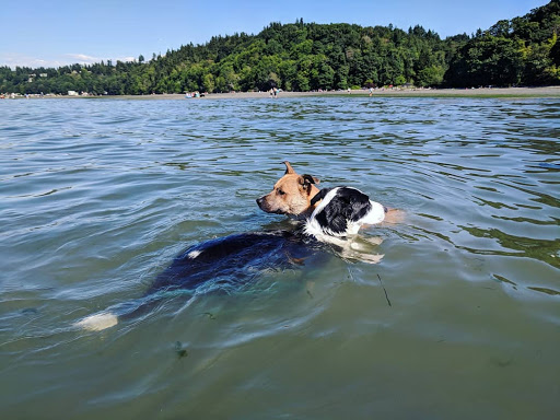 State Park «Dash Point State Park», reviews and photos, 5700 SW Dash Point Rd, Federal Way, WA 98023, USA