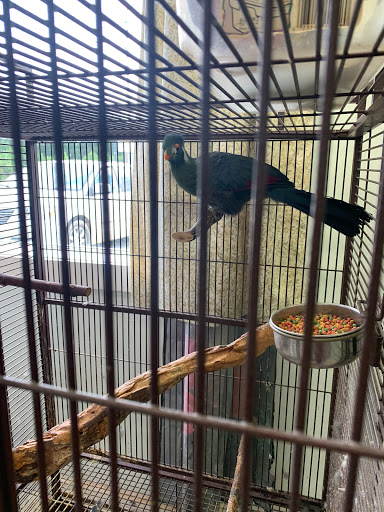 Pet Store «Adventure Birds of Bon Aqua», reviews and photos, 9600 TN-46, Bon Aqua, TN 37025, USA