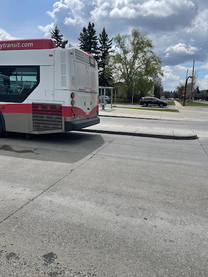 Calgary Transit Bus Loop