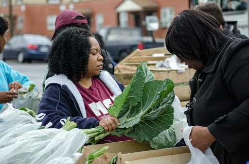 Non-Profit Organization «FeedMore», reviews and photos