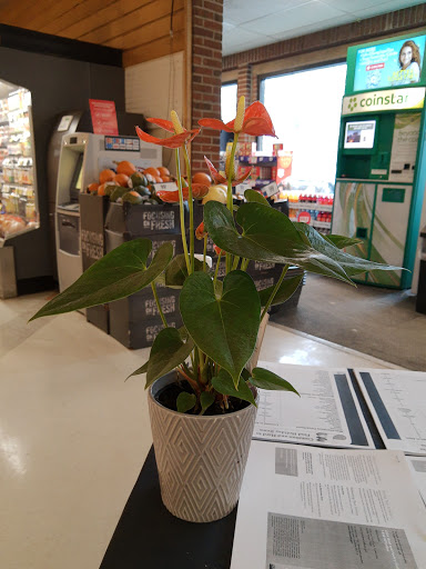 Grocery Store «Stop & Shop», reviews and photos, 11 Glen Ridge Rd, Greenwich, CT 06831, USA