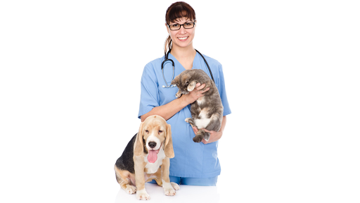 2101 SW 10th Ave, Topeka, KS 66604, USA