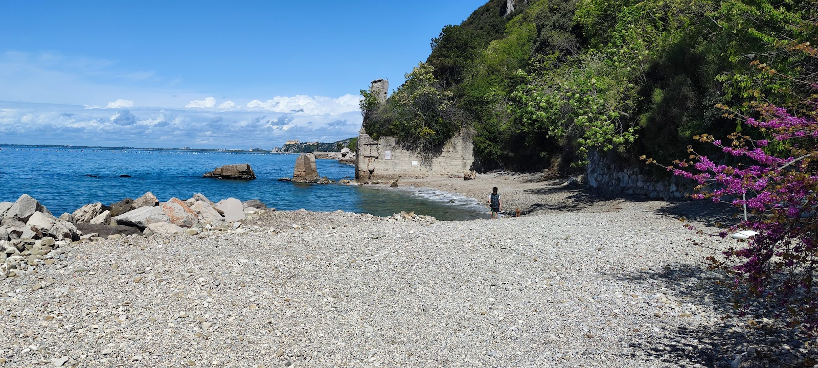 Spiaggia delle Ginestre的照片 具有非常干净级别的清洁度