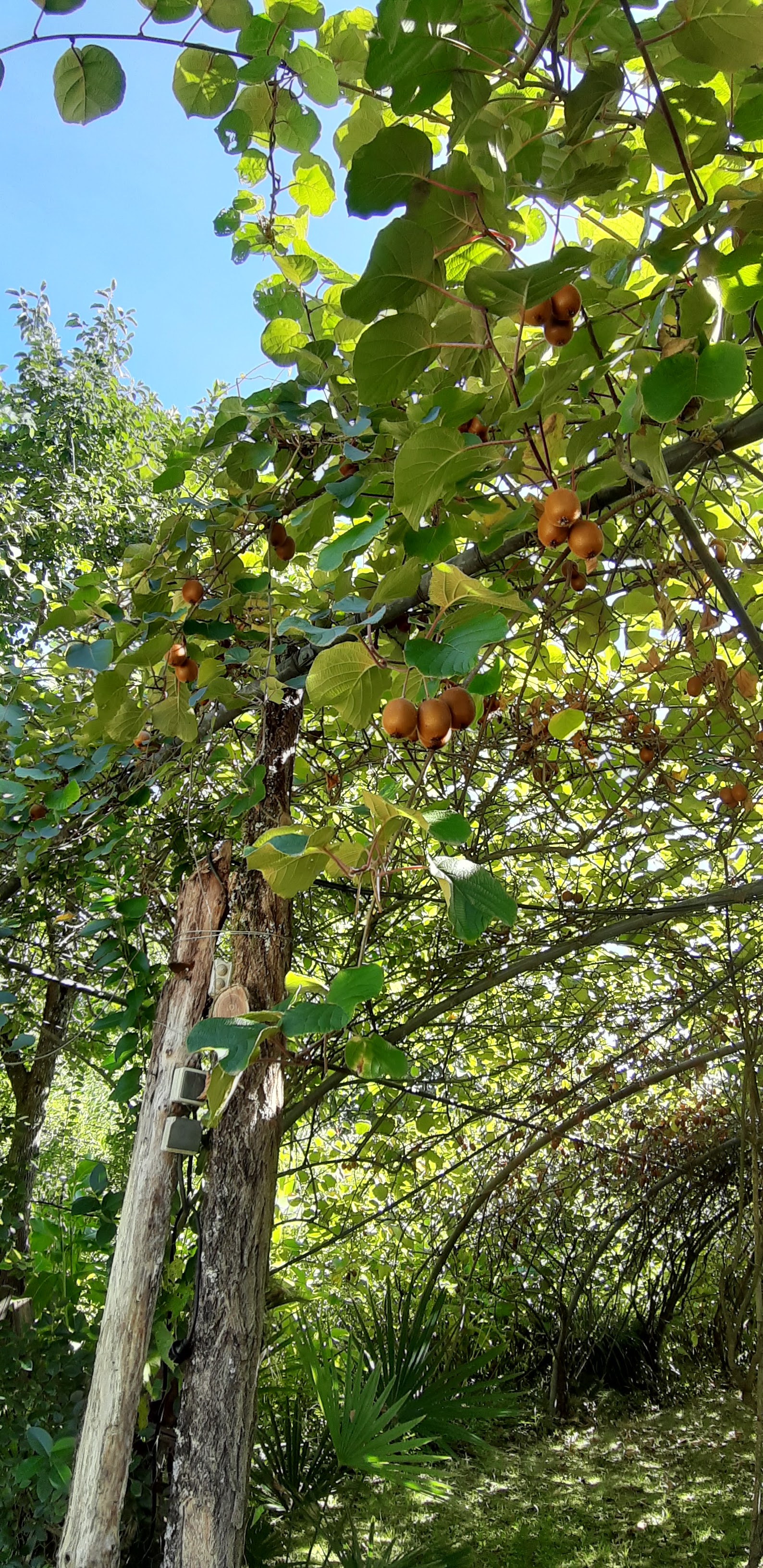 Photo n° 44 de l'avis de denis.o fait le 01/10/2019 à 12:55