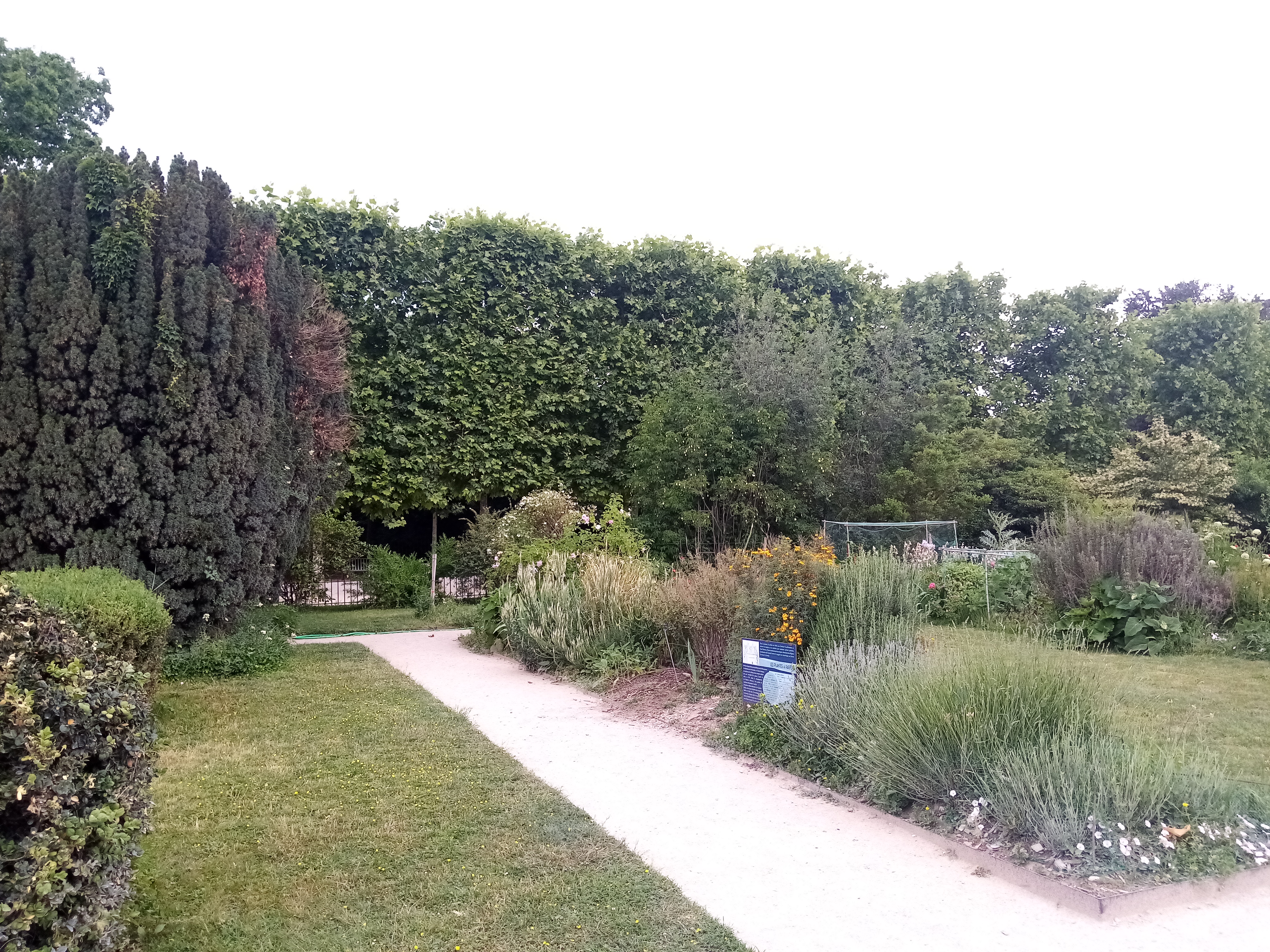 Photo n° 8 de l'avis de Mykola.a fait le 22/05/2022 à 18:49
