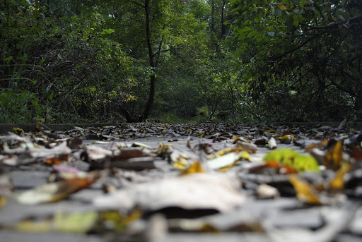 Nature Preserve «Wildlands Conservancy South Mountain Preserve», reviews and photos, Alpine St, Emmaus, PA 18049, USA