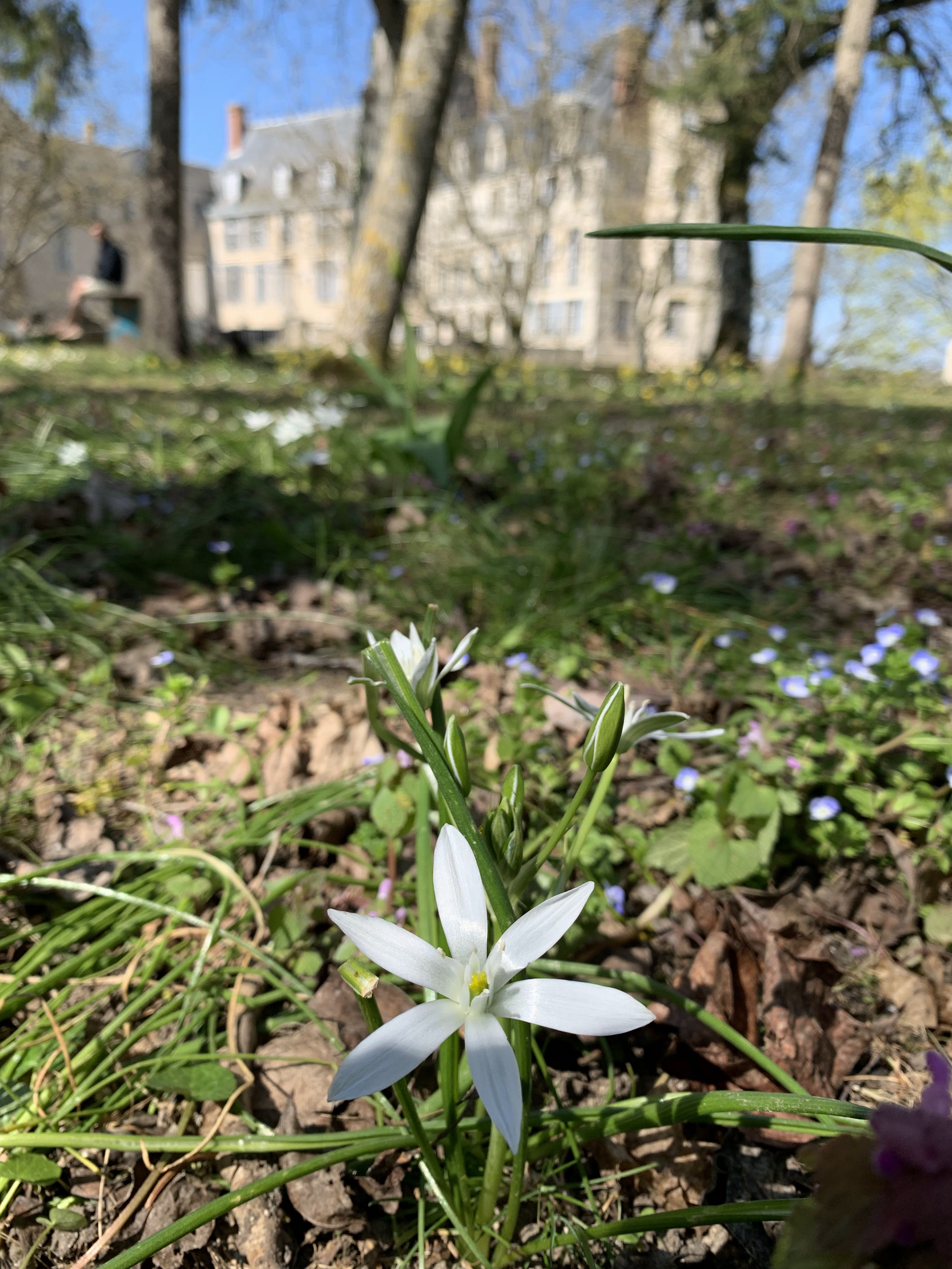 Photo n° 1 de l'avis de Jeanne.h fait le 28/04/2020 à 09:43