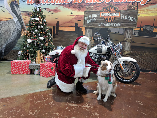 Harley-Davidson Dealer «Harley-Davidson of New Port Richey», reviews and photos, 5817 FL-54, New Port Richey, FL 34652, USA