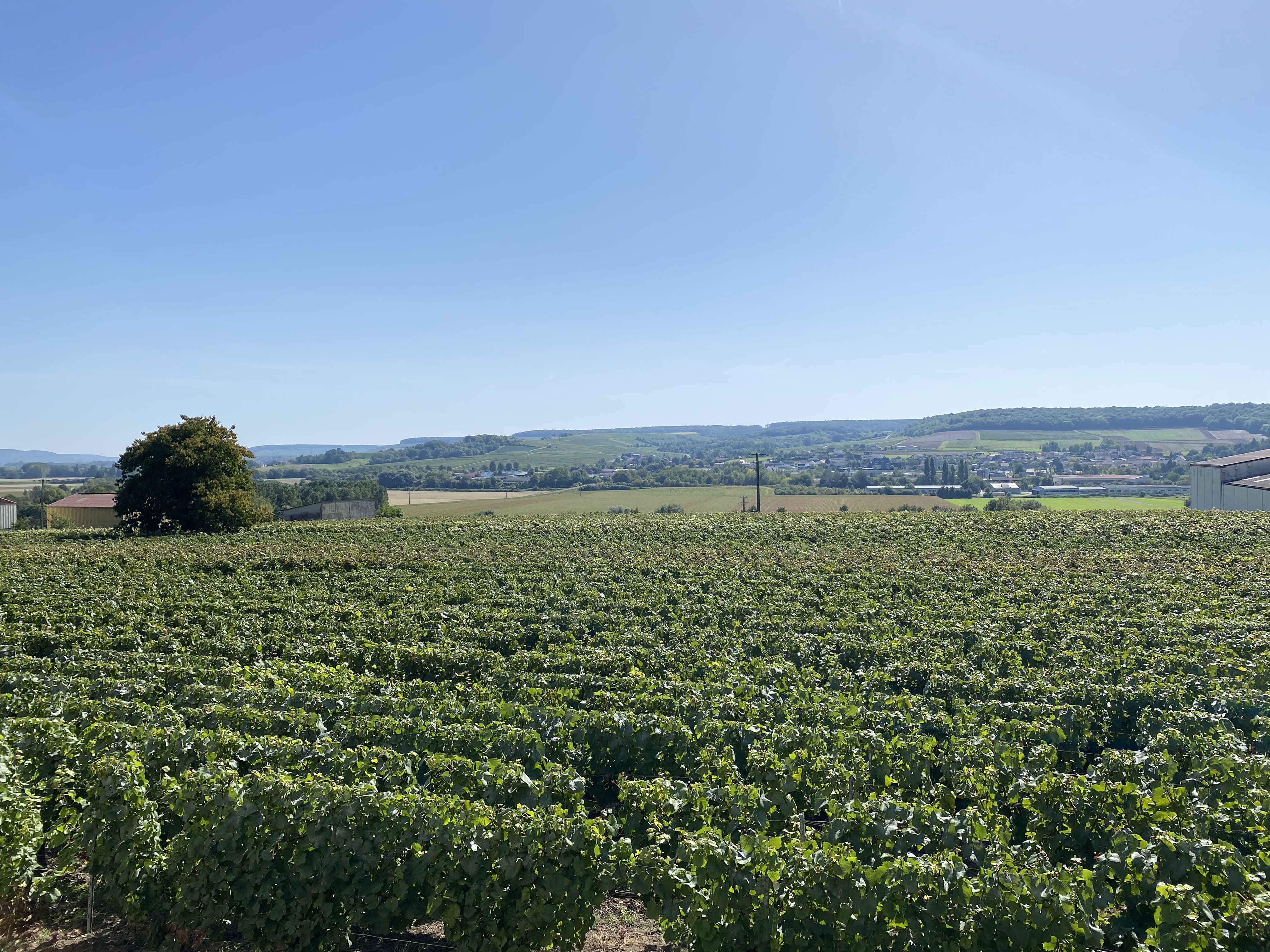 Photo n° 6 de l'avis de Cindy.r fait le 17/09/2023 à 15:42