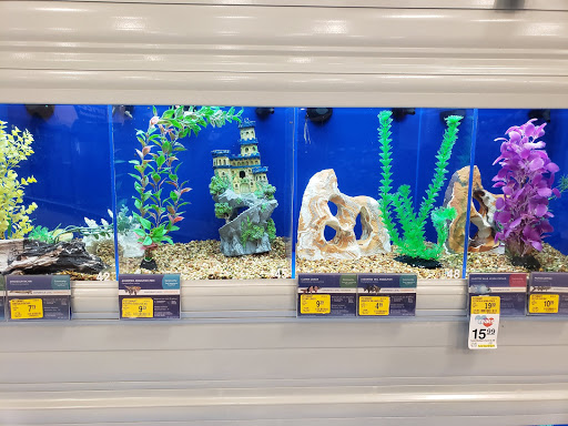 Pet Supply Store «PetSmart», reviews and photos, 1236 Greenbrier Pkwy, Chesapeake, VA 23320, USA