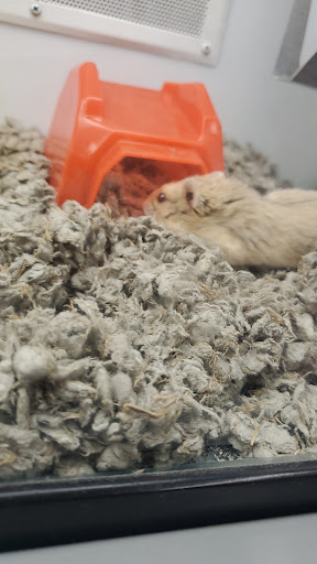 Pet Supply Store «Petco Animal Supplies», reviews and photos, 2072 Sycamore Rd, DeKalb, IL 60115, USA