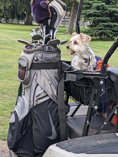 Golf Course «Meadowlake Golf & Swim», reviews and photos, 1211 39th St NE, Canton, OH 44714, USA