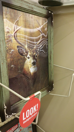 Craft Store «Hobby Lobby», reviews and photos, 3701 McKinley Pkwy #1240, Blasdell, NY 14219, USA