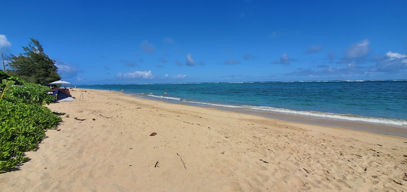 Punalu'u Beach Park'in fotoğrafı - rahatlamayı sevenler arasında popüler bir yer