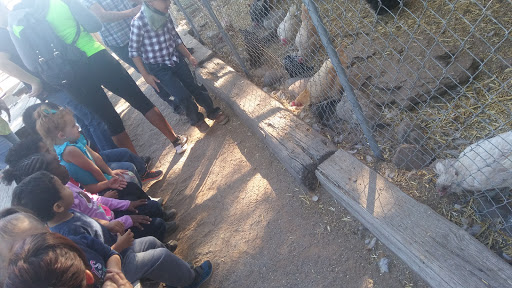 Zoo «Jr Pony Parties», reviews and photos, 1744 N Leonard Ln, Las Vegas, NV 89108, USA