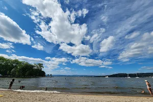 Hudson River Recreation - Croton Point Park image