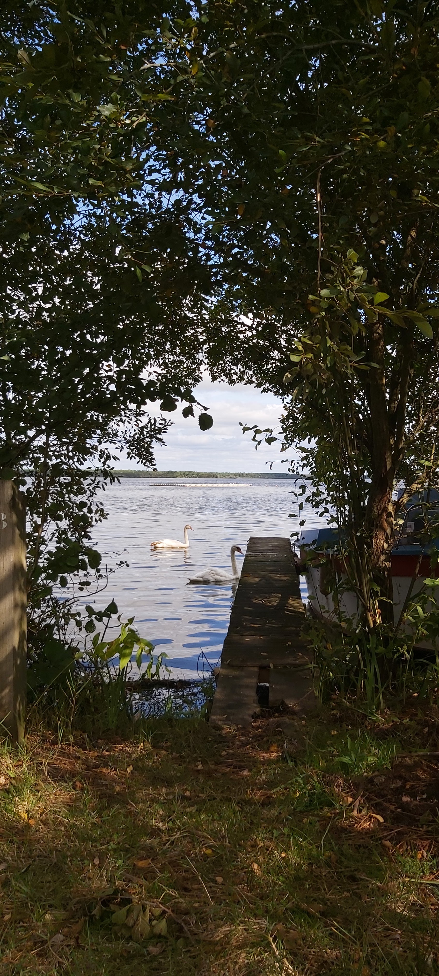 Photo n° 19 de l'avis de Laetitia.. fait le 10/10/2020 à 16:16