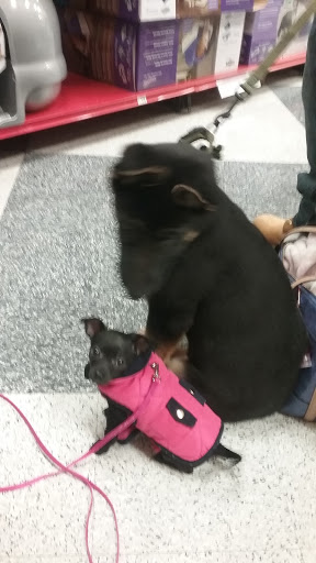 Pet Supply Store «Petco Animal Supplies», reviews and photos, 600 N Galleria Dr, Middletown, NY 10941, USA