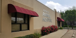 Northside Animal Hospital