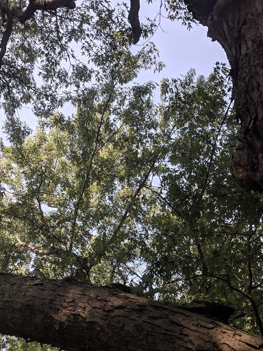 Golf Club «Sand Ridge Golf Club», reviews and photos, 12150 Mayfield Rd, Chardon, OH 44024, USA