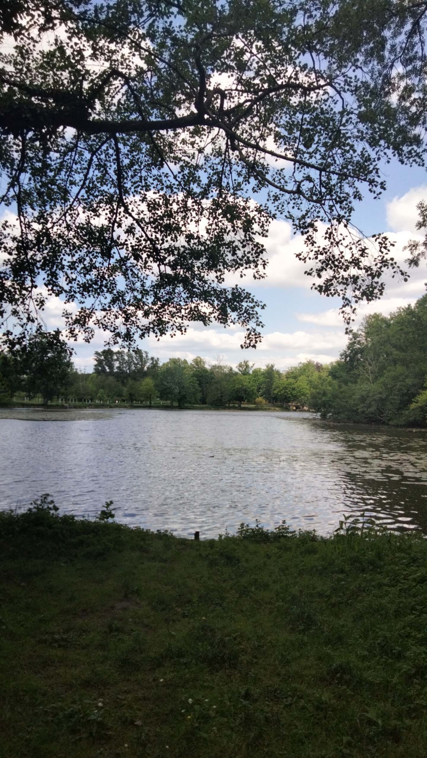 Photo n° 6 de l'avis de Lili.a fait le 17/05/2023 à 18:07