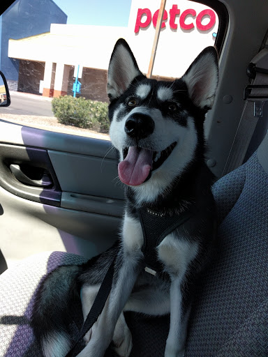 Pet Supply Store «Petco Animal Supplies», reviews and photos, 585 E Wetmore Rd, Tucson, AZ 85705, USA