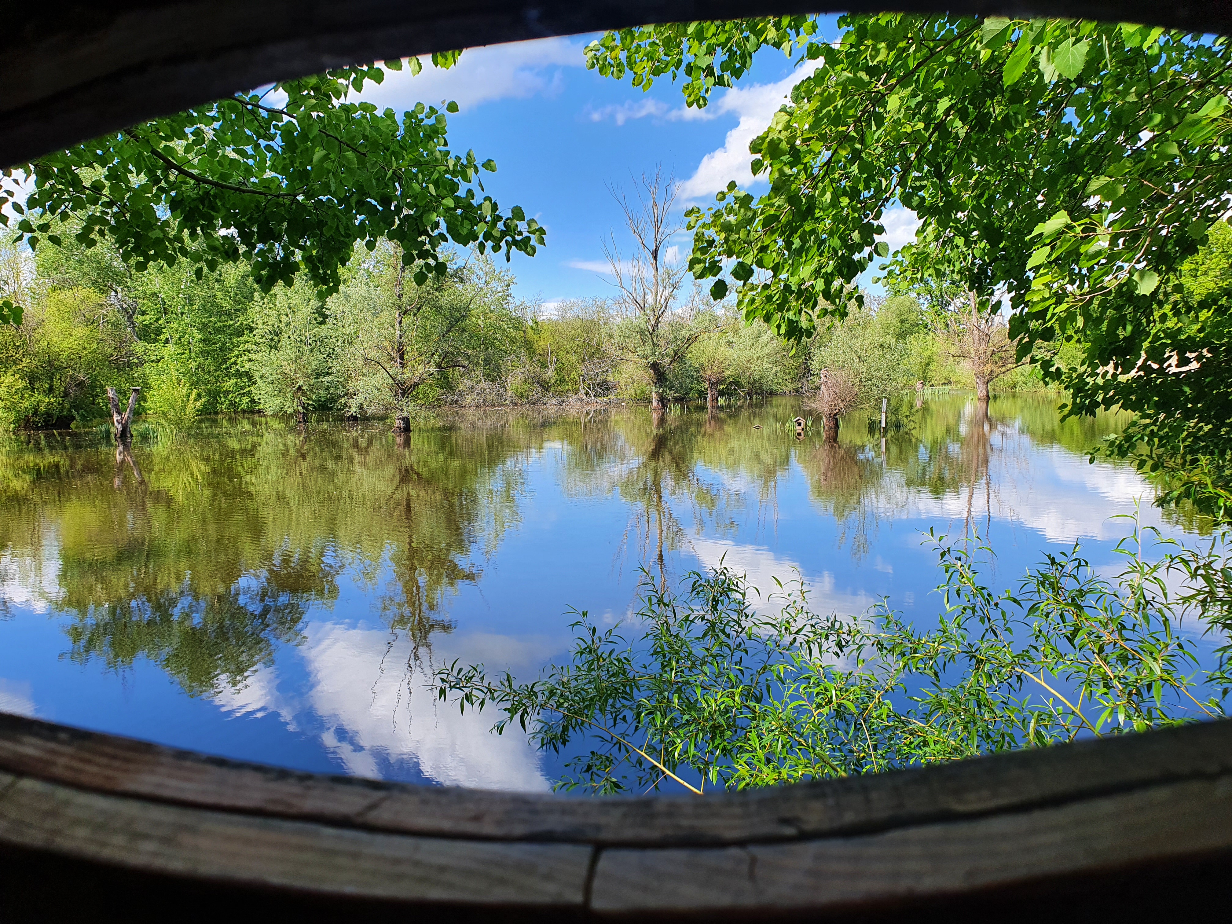 Photo n° 1 de l'avis de François.o fait le 24/05/2021 à 16:03
