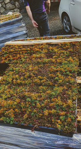 Roofing Contractor «Element Smart Roofing», reviews and photos, 1813 130th Ave NE #110, Bellevue, WA 98005, USA