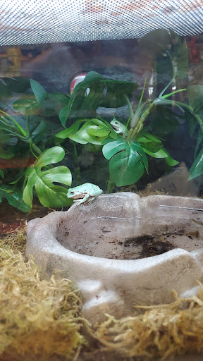 Pet Supply Store «Petco Animal Supplies», reviews and photos, 2072 Sycamore Rd, DeKalb, IL 60115, USA