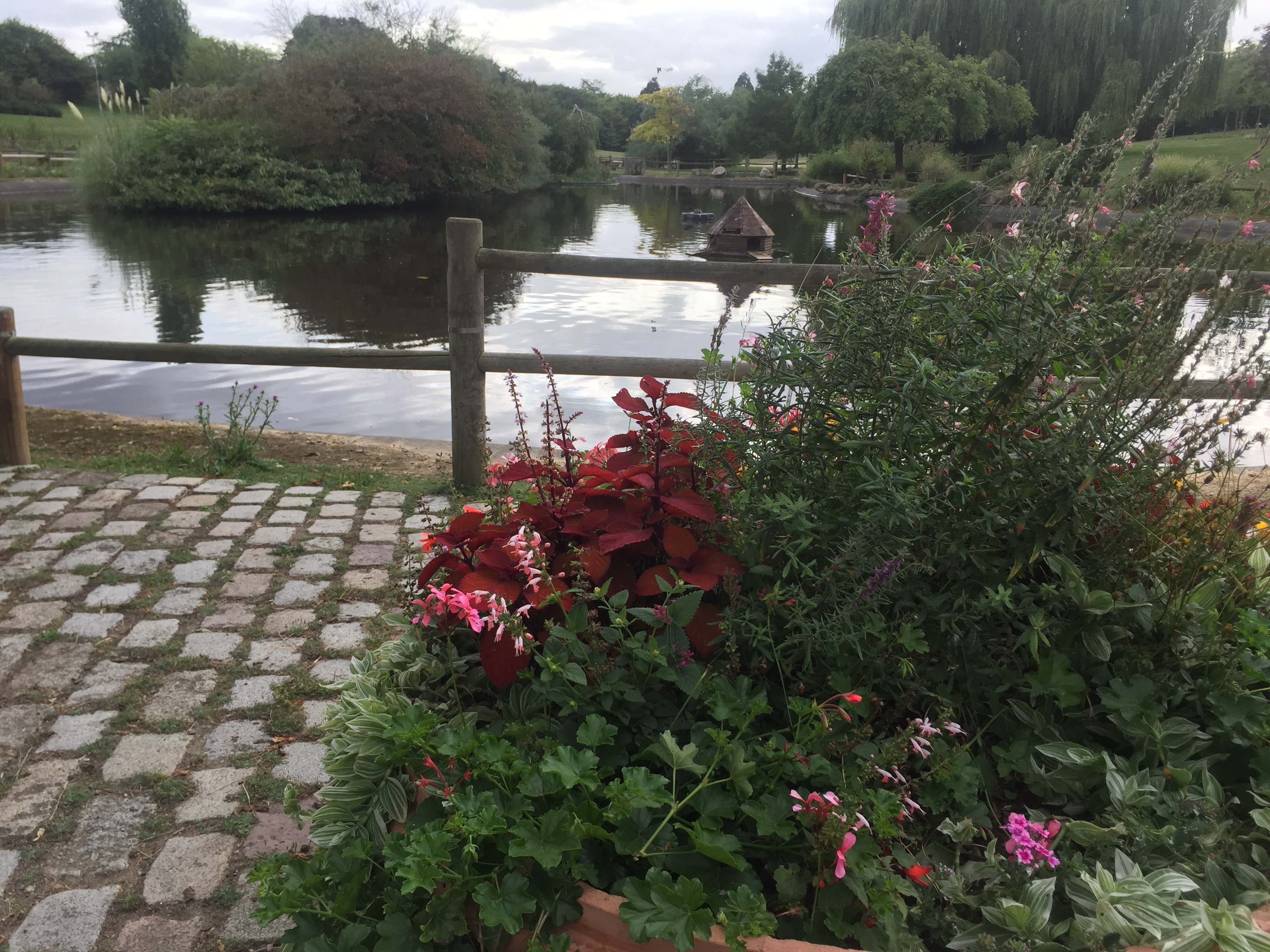 Photo n° 2 de l'avis de n.o fait le 14/09/2017 à 15:53