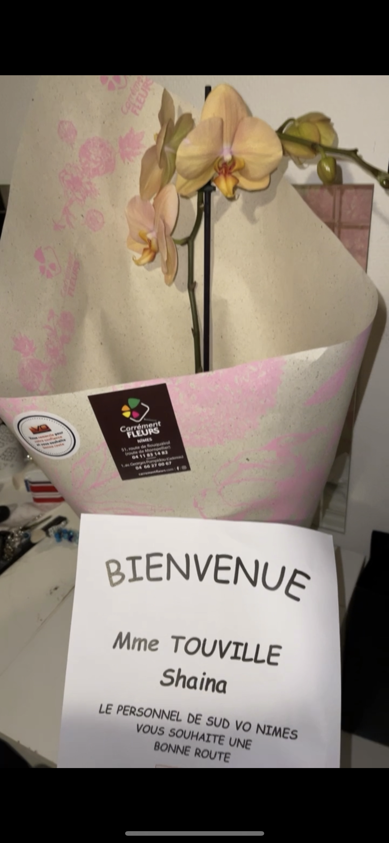 Photo n° 1 de l'avis de Shaïna. fait le 21/01/2022 à 10:23