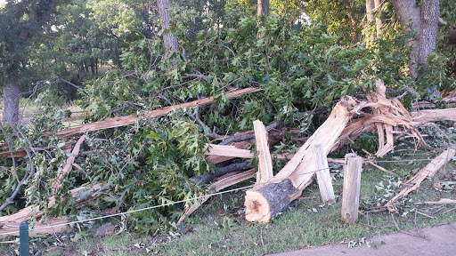 Golf Course «Oak Hollow Golf Course», reviews and photos, 3005 N McDonald St, McKinney, TX 75071, USA