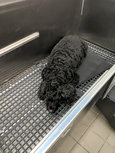 Pet Supply Store «Pet Supplies Plus», reviews and photos, 375 Paterson Ave #105, Wallington, NJ 07057, USA