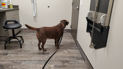 East Pines Animal Clinic image