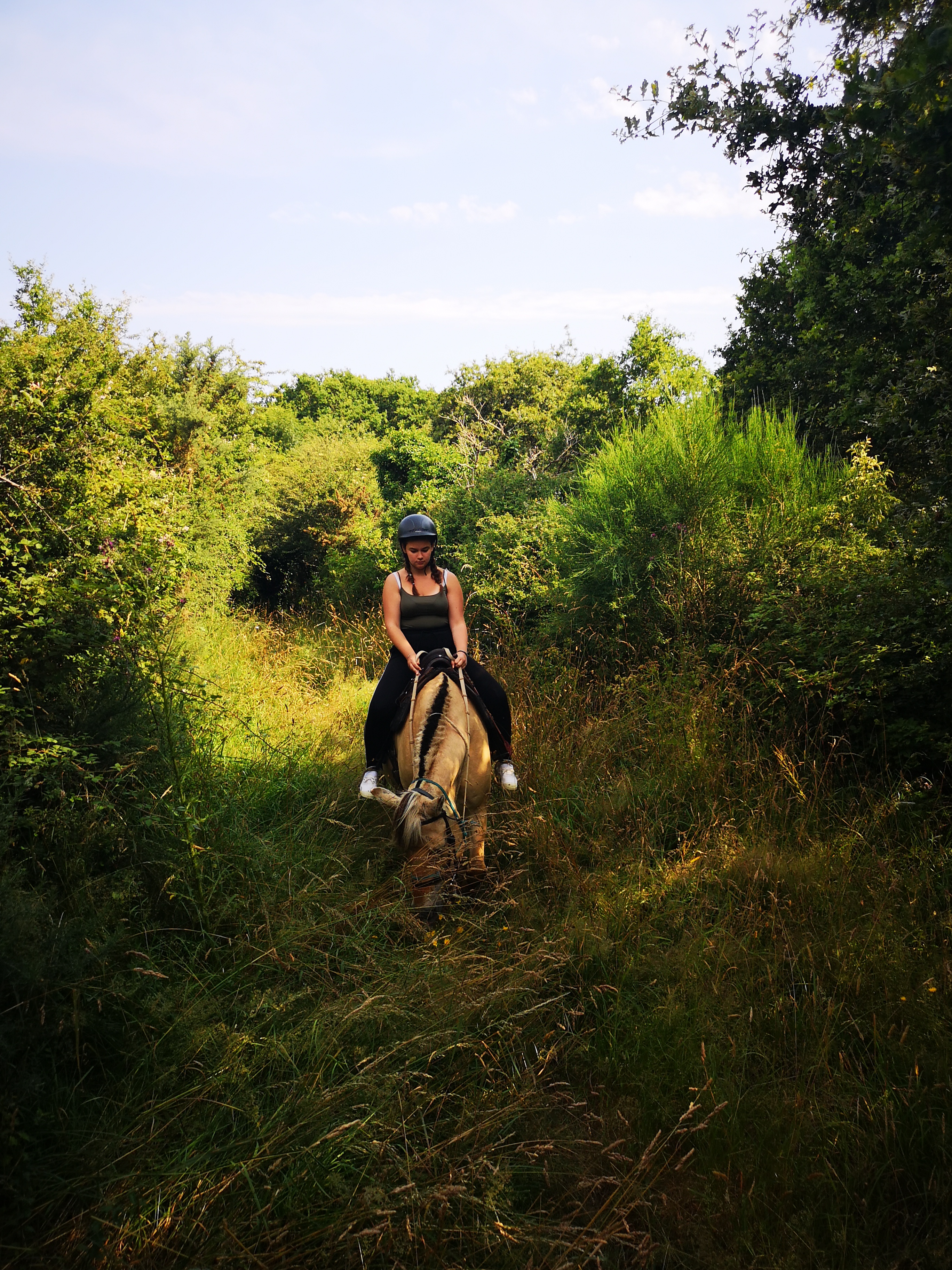 Photo n° 2 de l'avis de Blandine.. fait le 11/07/2019 à 18:59