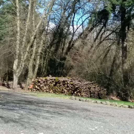 Vineyard «Stangeland Vineyards & Winery», reviews and photos, 8500 Hopewell Rd NW, Salem, OR 97304, USA