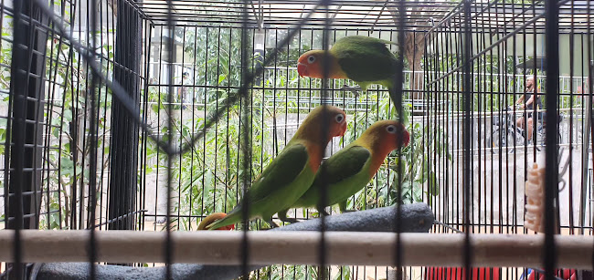 PetMart Pte Ltd - Singapore