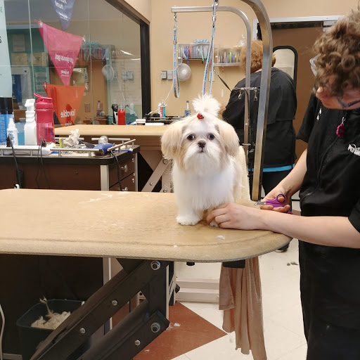 Pet Supply Store «PetSmart», reviews and photos, 2750 Carl T Jones Dr SE, Huntsville, AL 35802, USA