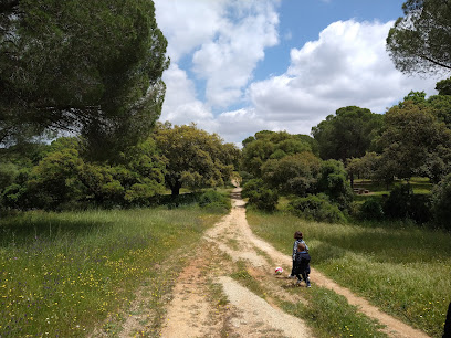 Parque – Area recreativa la Suara – Jerez de la Frontera
