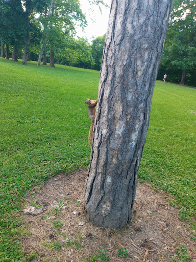 Park «Garfield Park», reviews and photos, 2505 Conservatory Dr, Indianapolis, IN 46203, USA