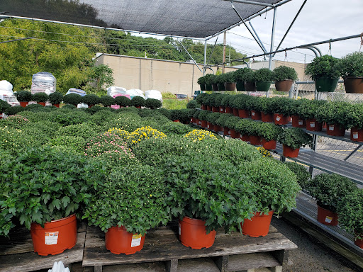 Garden Center «Agway», reviews and photos, 1025 Green St, Greensburg, PA 15601, USA