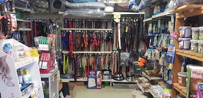 Espace Animalia Service à Blagnac