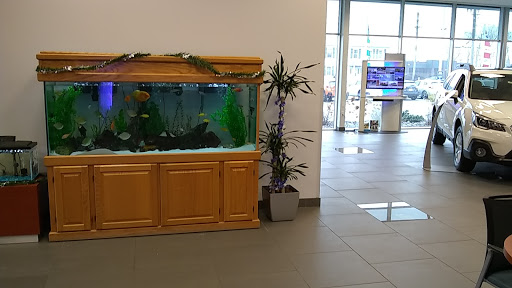Subaru Dealer «Ganley Subaru East», reviews and photos, 28840 Euclid Ave, Wickliffe, OH 44092, USA