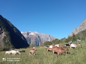 Photo n°24 de La Coopérative à Les Deux Alpes ()