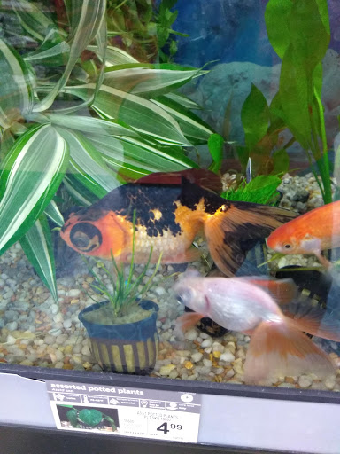 Pet Supply Store «Petco Animal Supplies», reviews and photos, 200 McMahan Blvd, Marion, OH 43302, USA