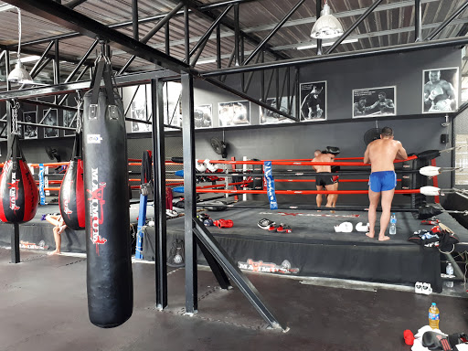 Boxing schools in Phuket