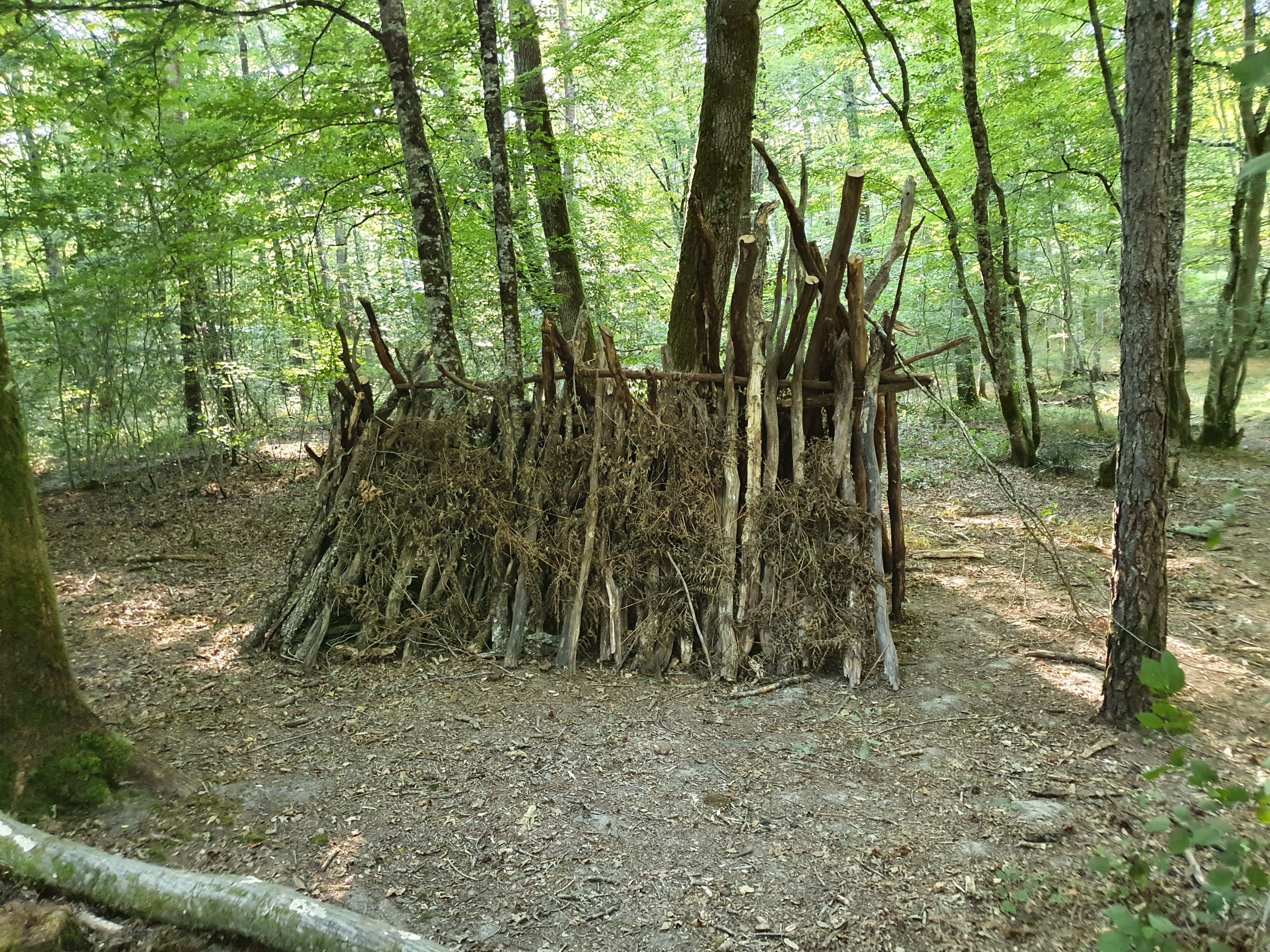 Photo n° 4 de l'avis de LD.R fait le 22/07/2020 à 12:18